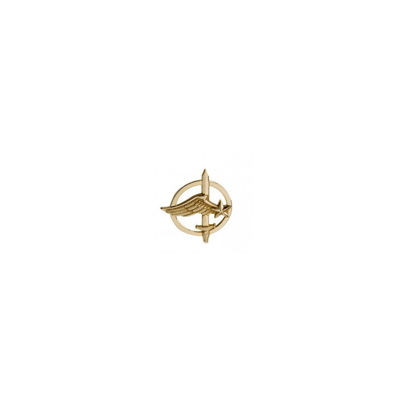 Insigne de béret doré Commandos de l'Air