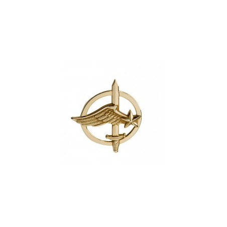 Insigne de béret doré Commandos de l'Air