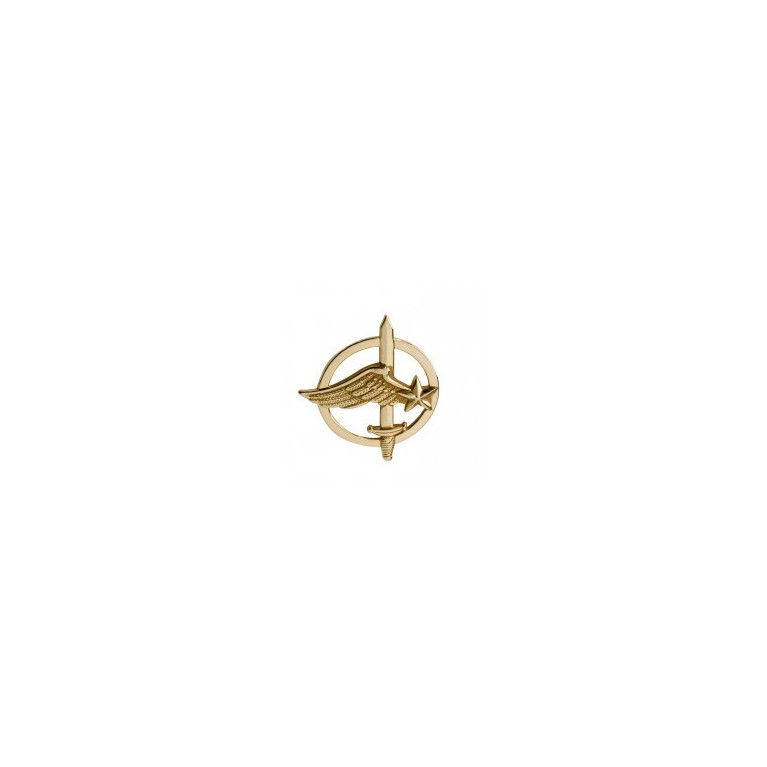 Insigne de béret doré Commandos de l'Air Insigne de béret doré Commandos de l'Air
