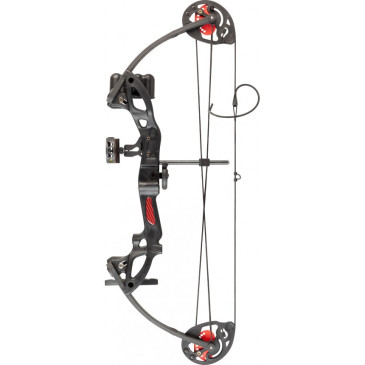 Arc à poulie NXG robin expert set