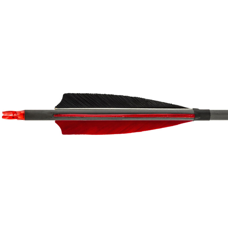 Flèches carbone 32'' spin 340 - plumes