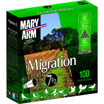 PACK 100 32 BJ CAL 12
