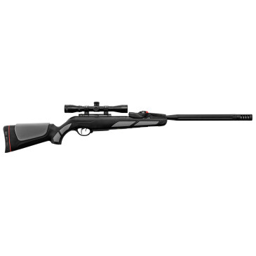 PACK CARABINE GAMO IGT...